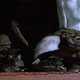 3 of the Squishiest, Creepy-Crawliest Cult Horror Movies Ever Made